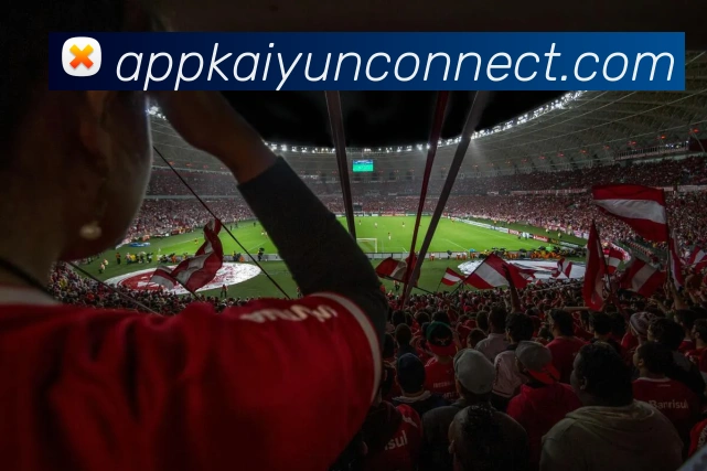 开云APP 体育赛事宣传图